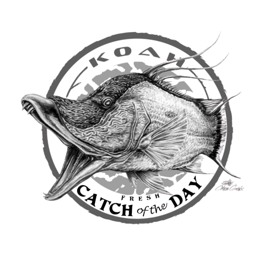 Catch of the Day Hogfish T-shirt