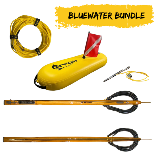 Black Friday Bundle - Bluewater Package